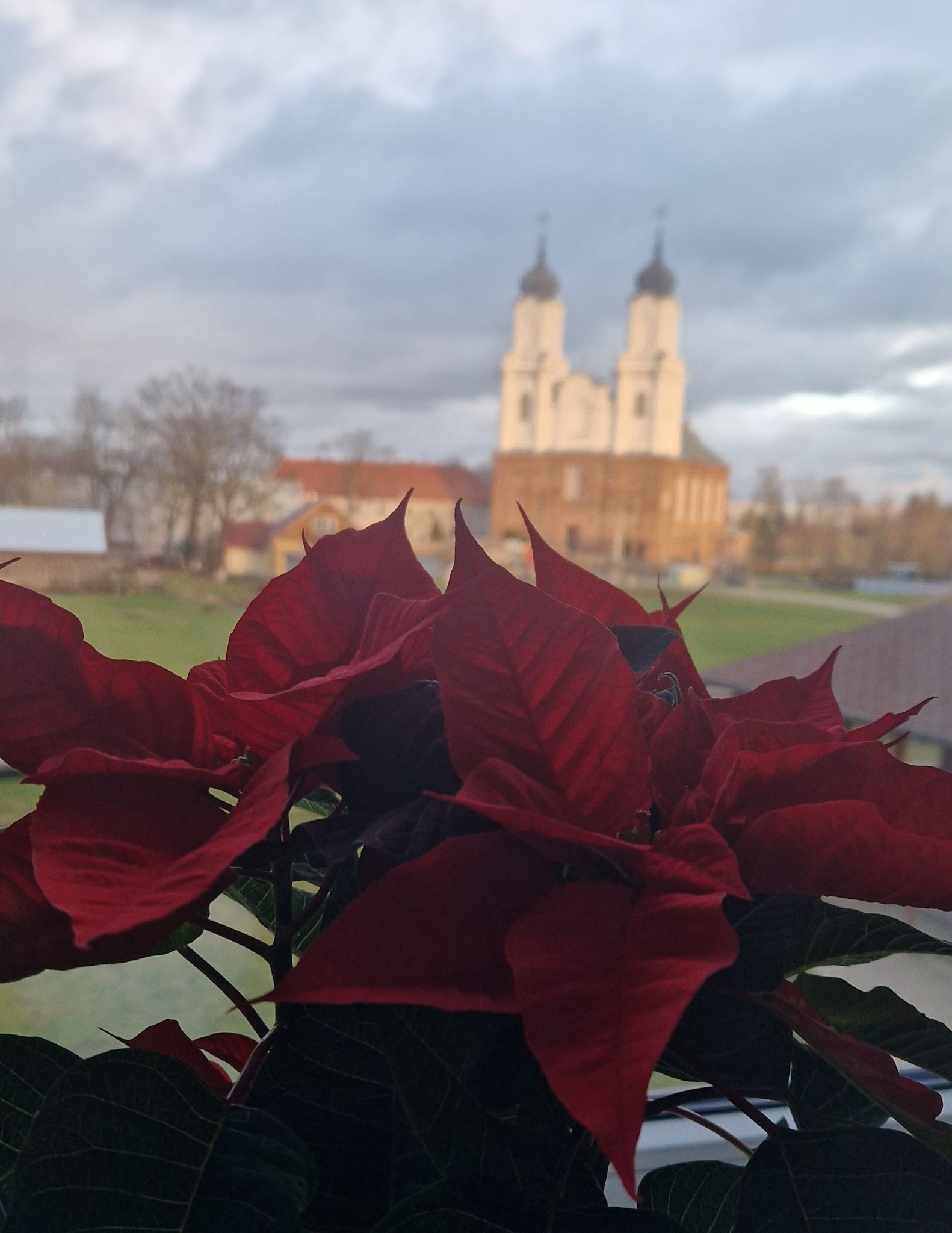 Mūsų dienos kaip šventė