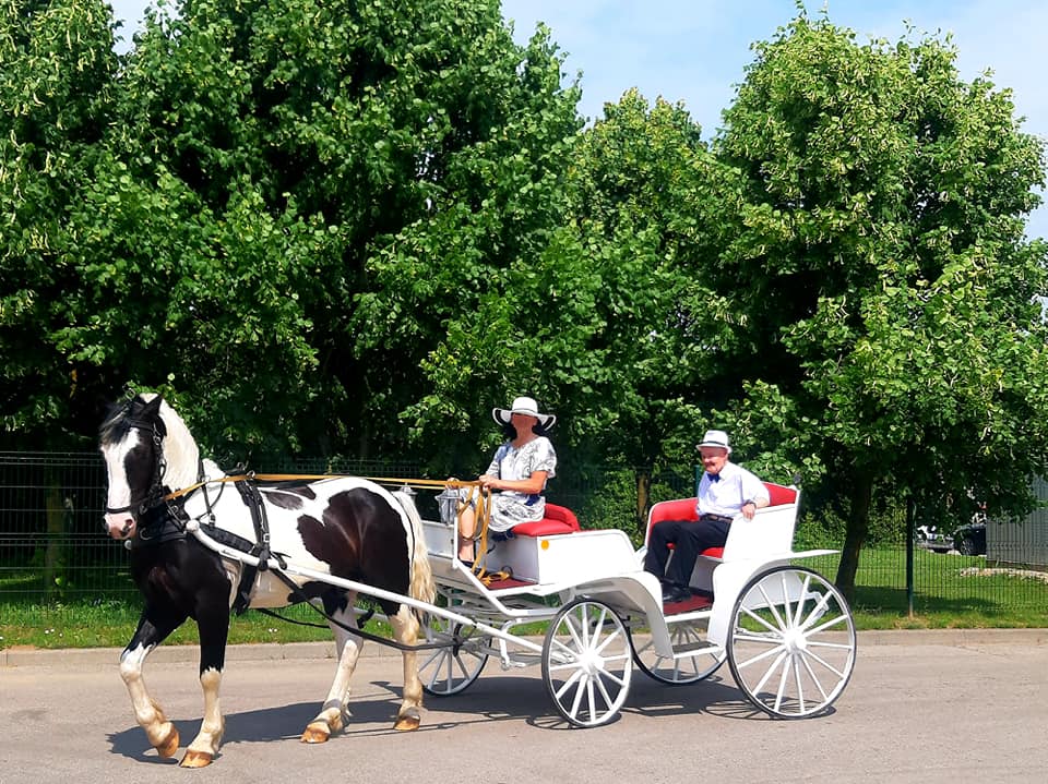 Petrinės 2022