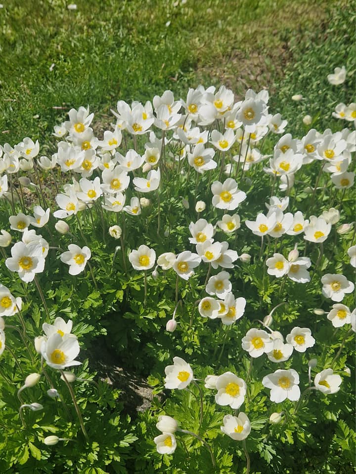 Duonos kelio edukacija