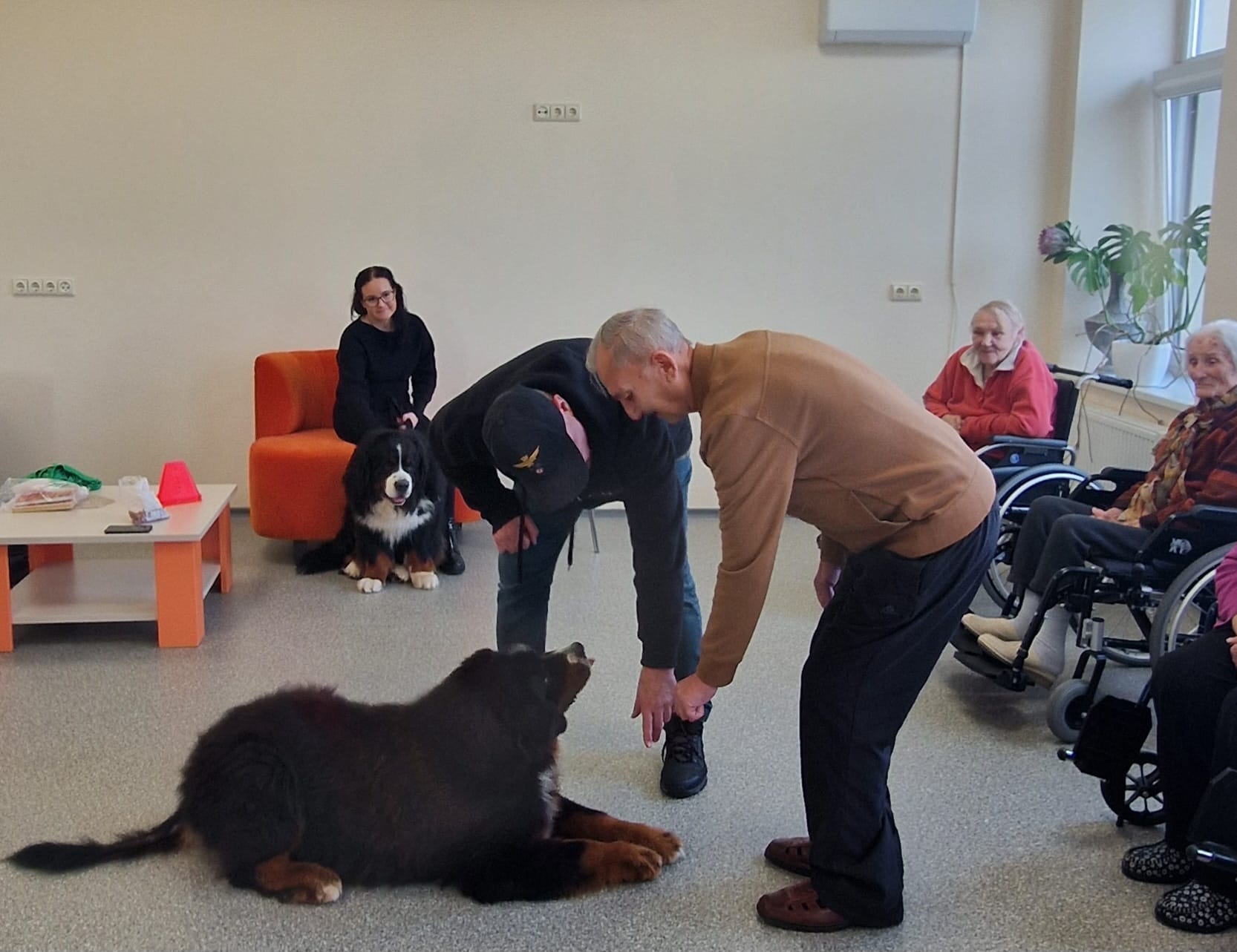 Geriausi žmogaus draugai