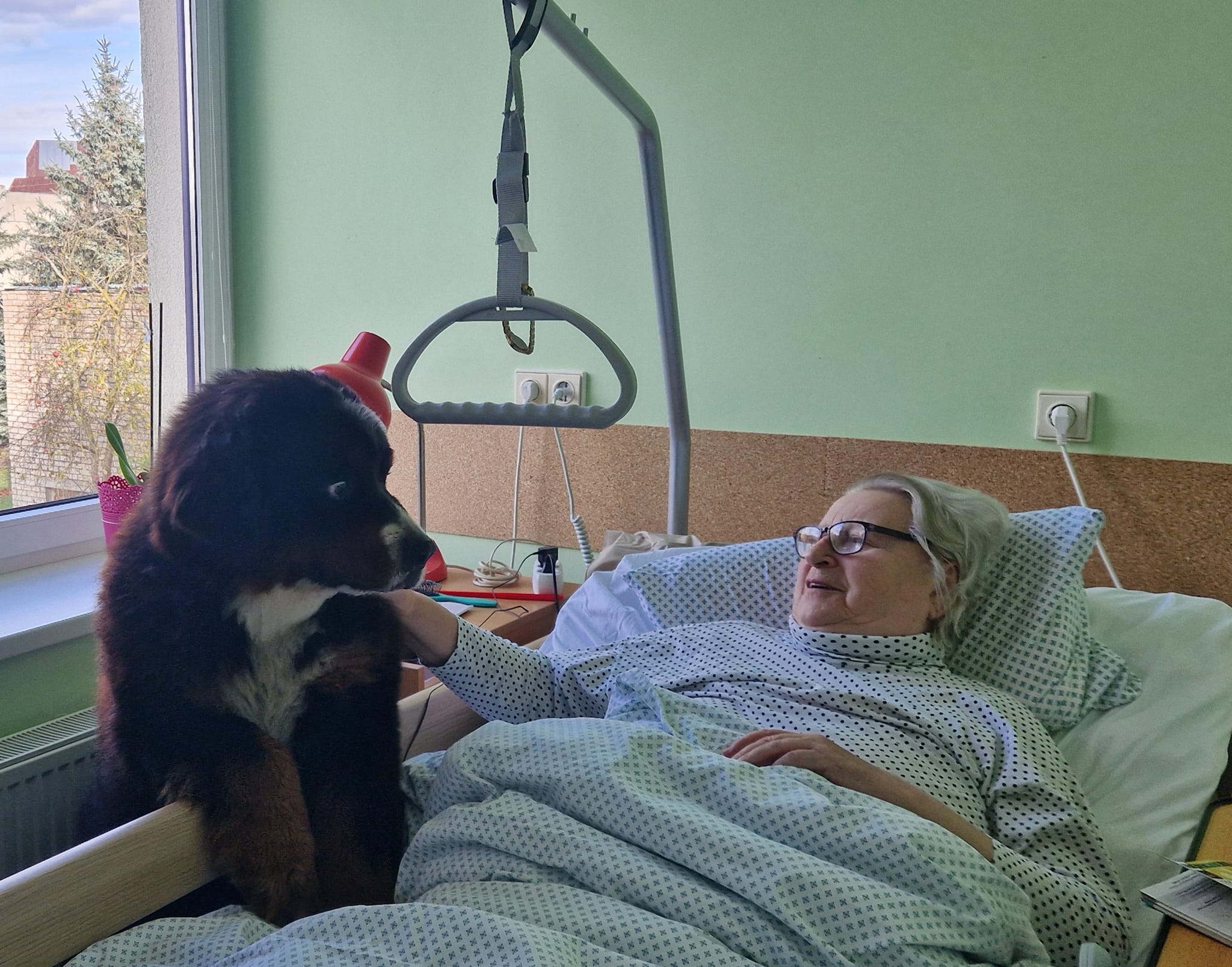 Geriausi žmogaus draugai