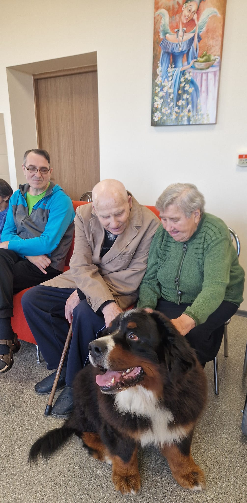 Geriausi žmogaus draugai