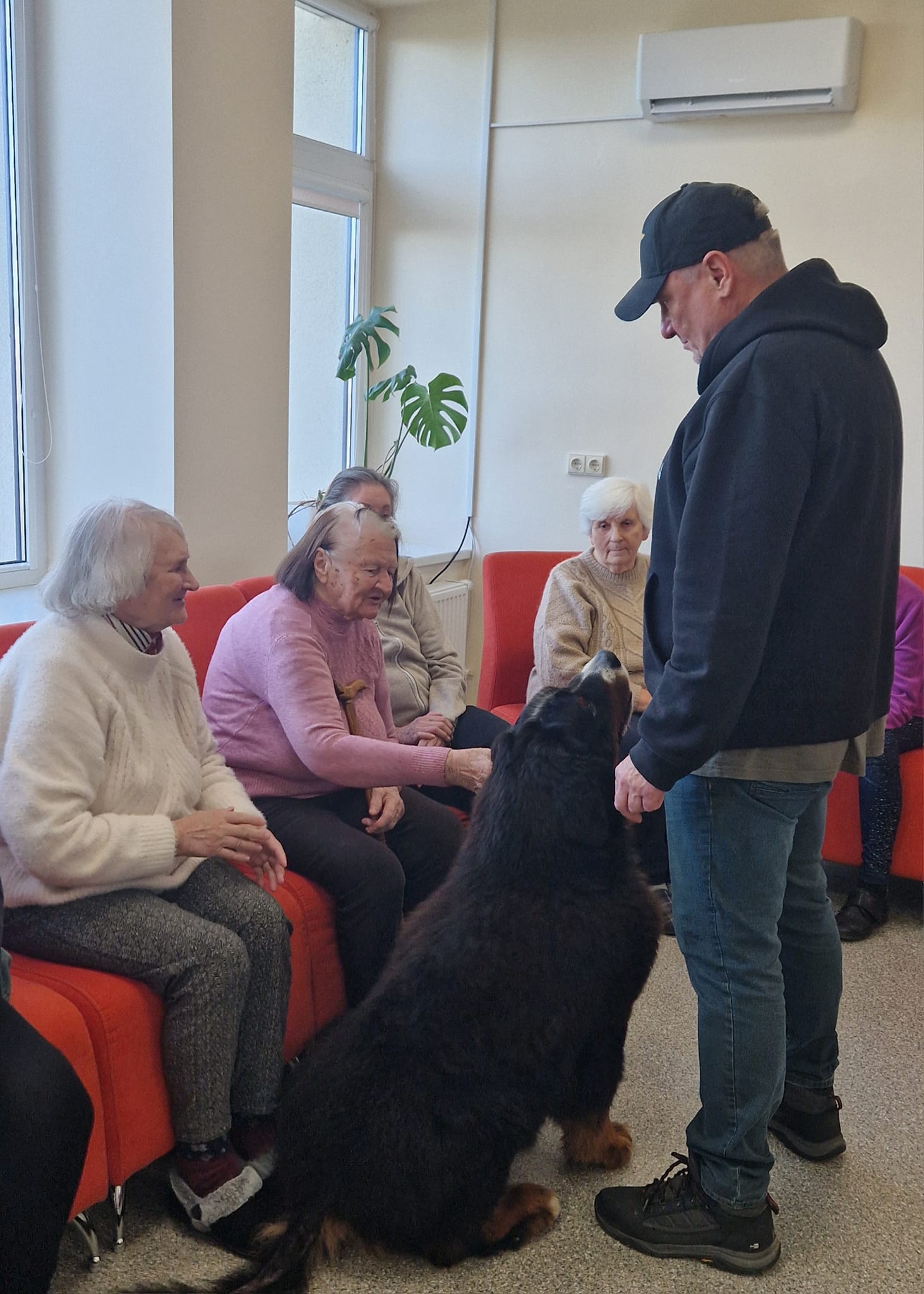 Geriausi žmogaus draugai