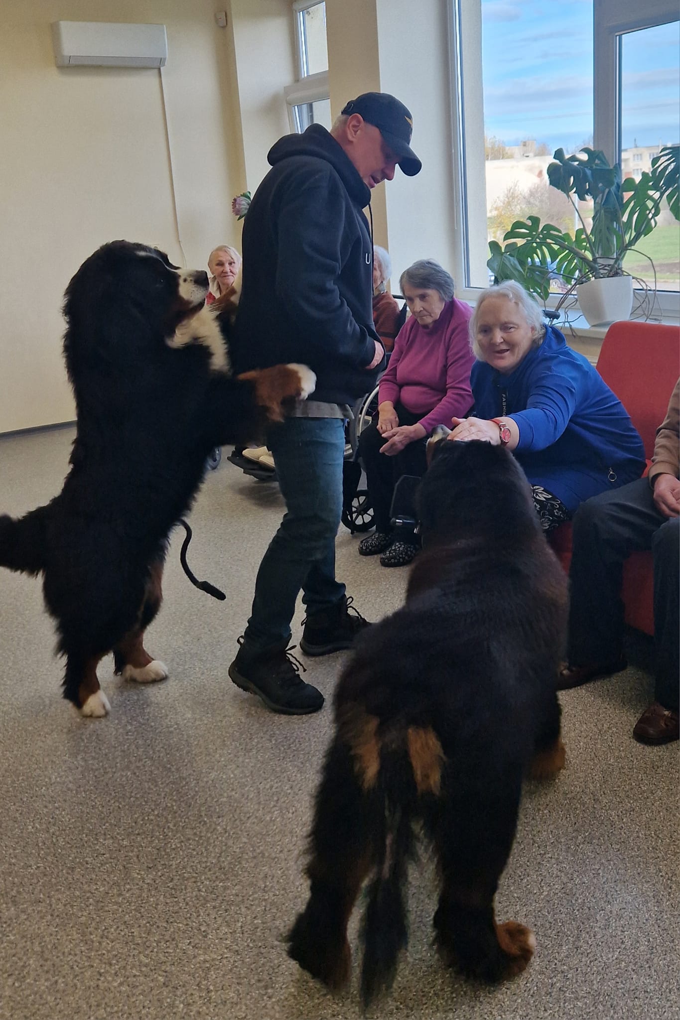 Geriausi žmogaus draugai