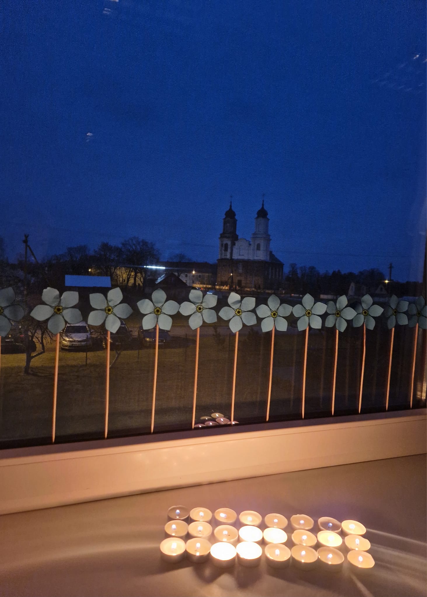 Pilietinė akcija 