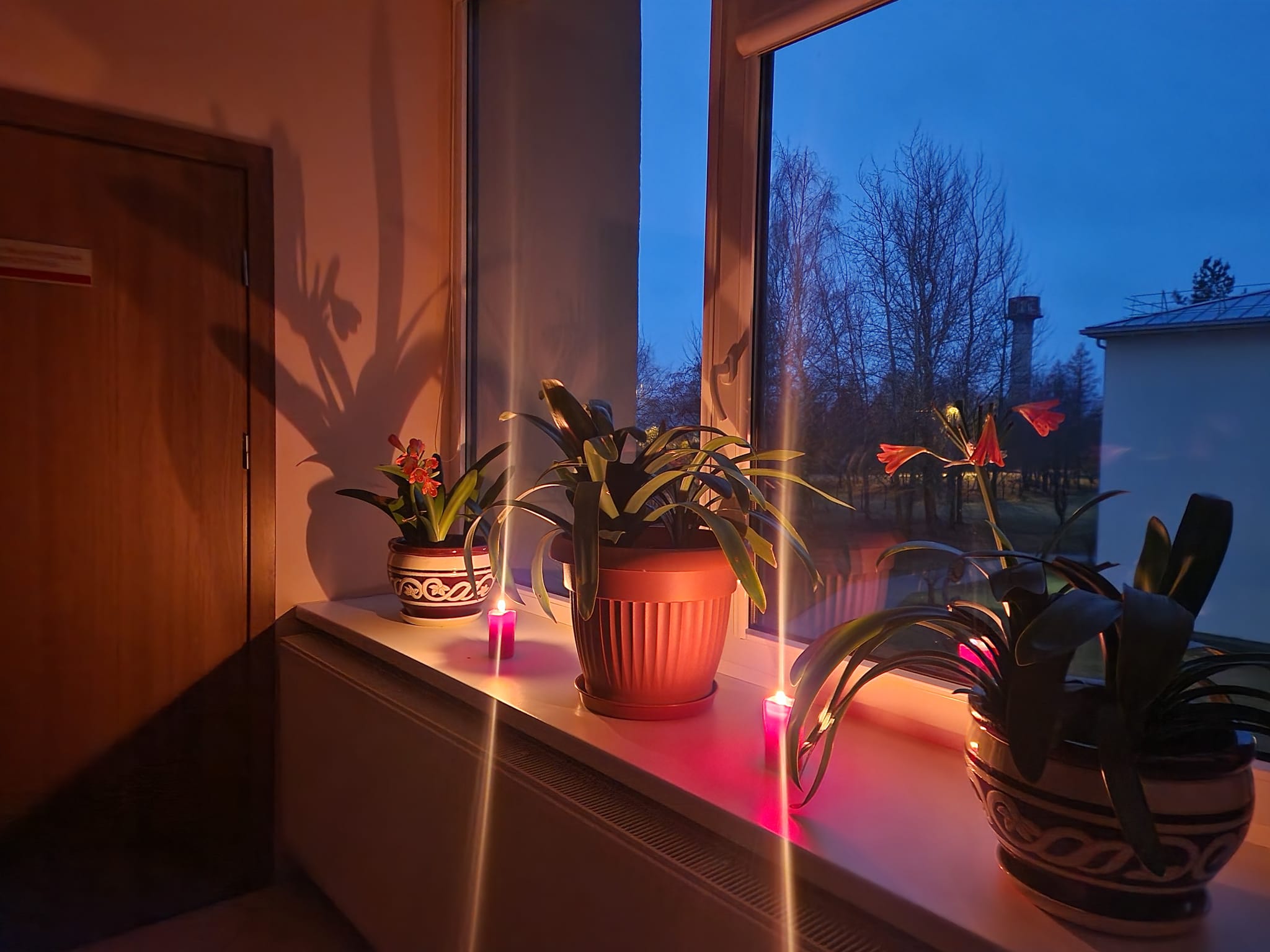 Pilietinė akcija 