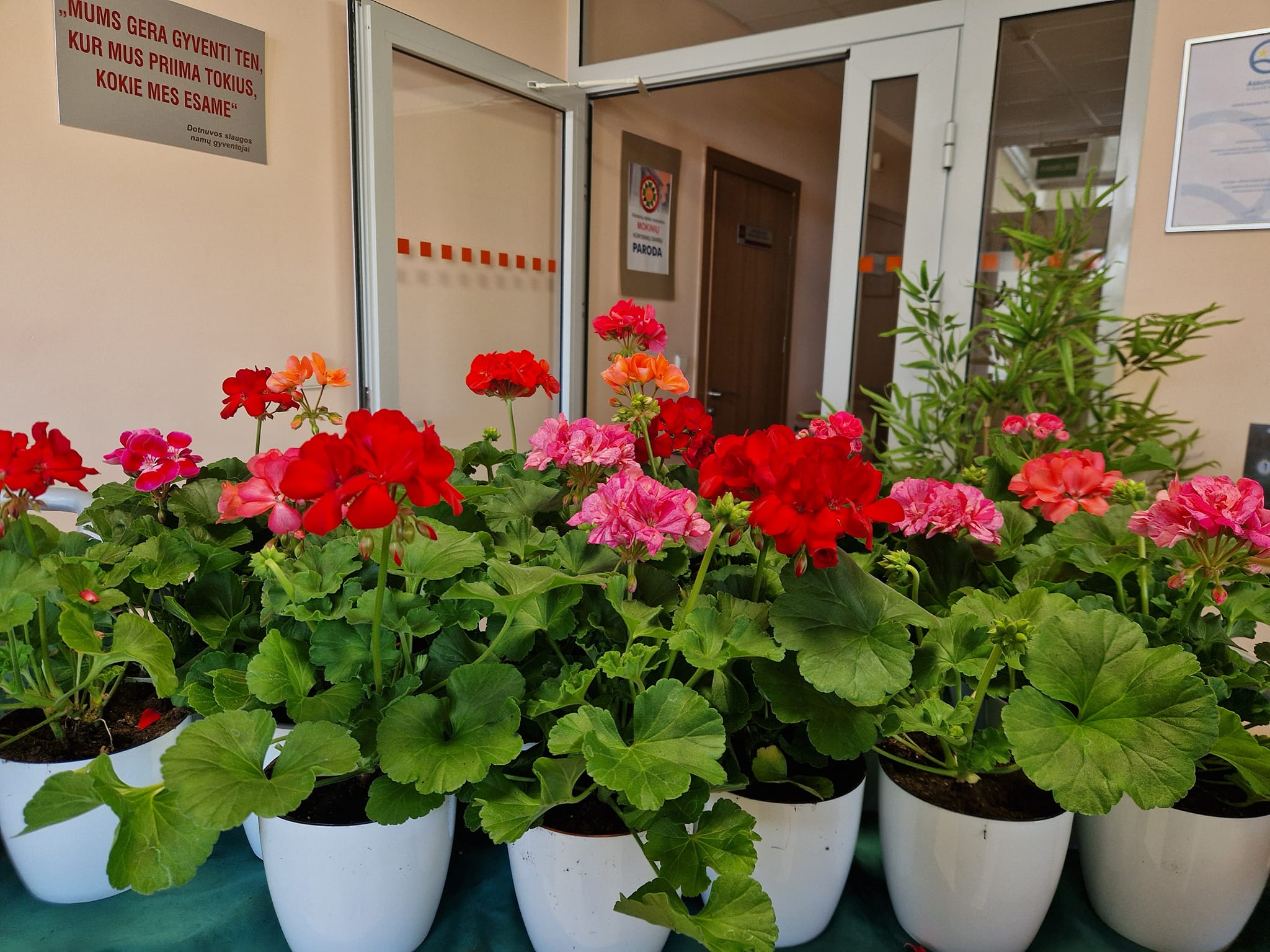 Taip brangi Mamų diena