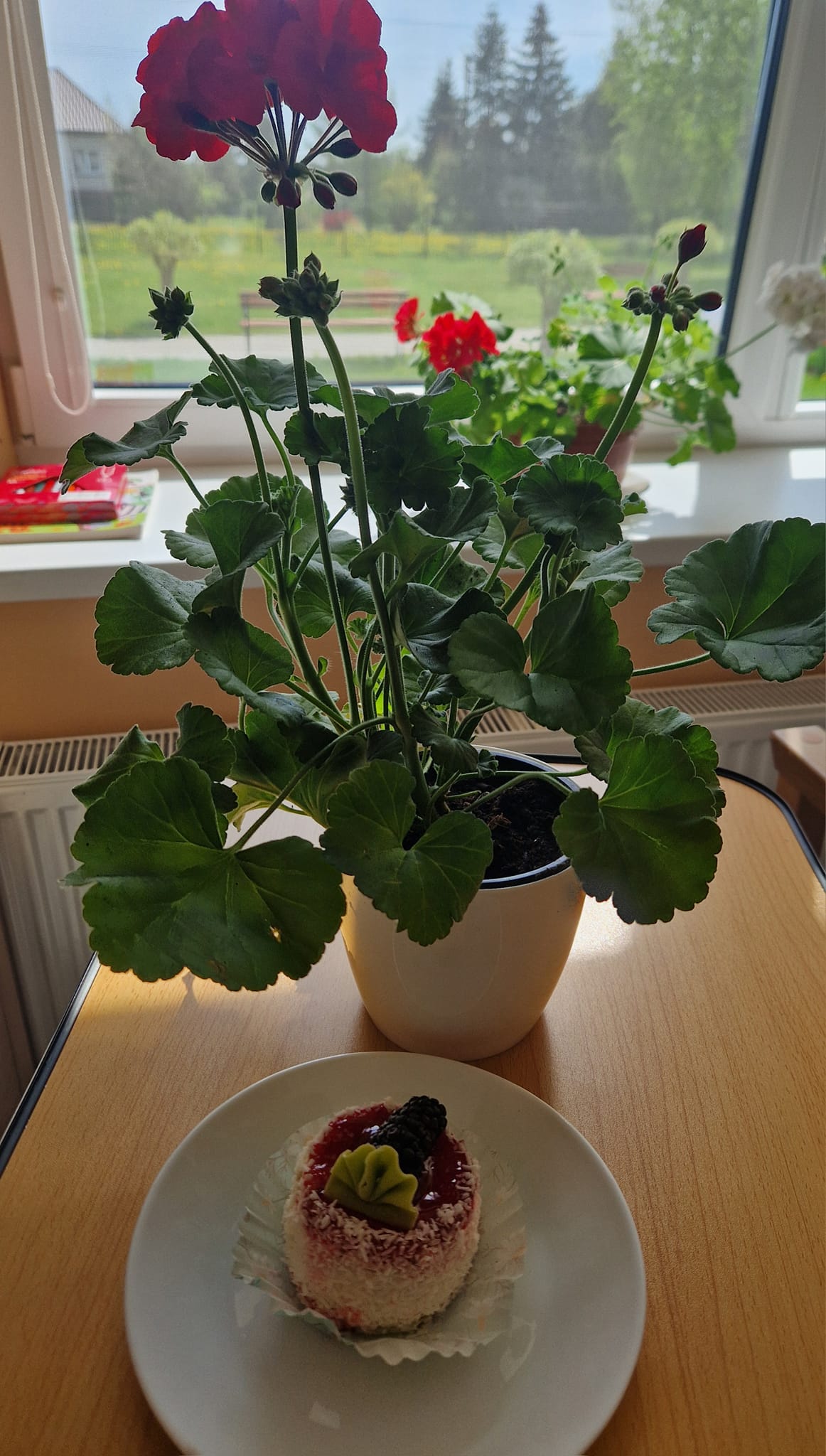 Taip brangi Mamų diena