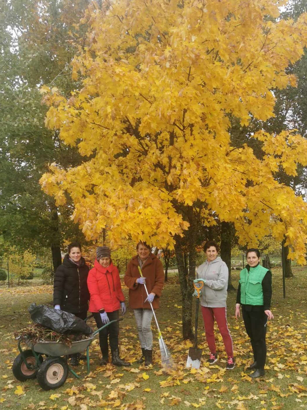 Rudens talka
