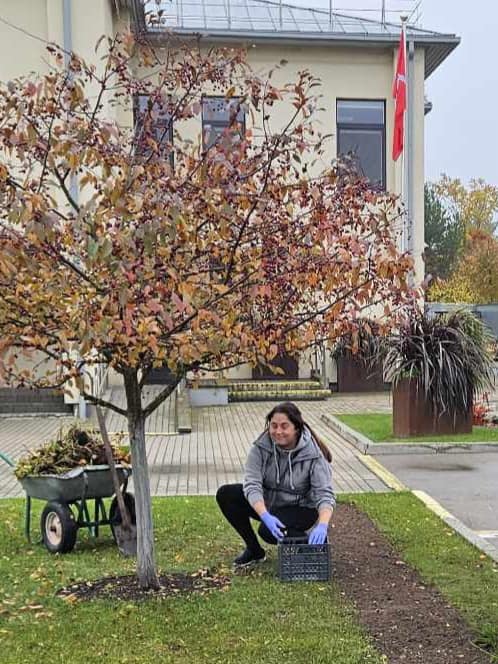 Rudens talka